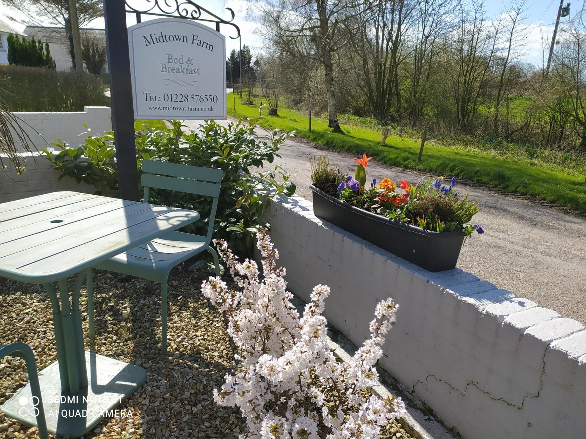 Midtown Farm Bed & Breakfast Easton  Extérieur photo
